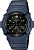 Casio AWG-M100NV-2A