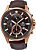 Casio EFV-530GL-5A