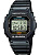 Casio DW-5600E-1V