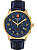 Swiss Alpine Military 7084.9515SAM SKYMASTER