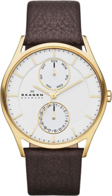 Skagen SKW6066