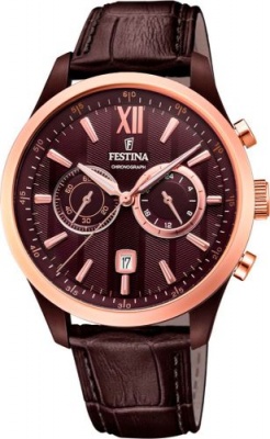 Festina F16999/1