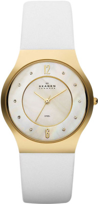 Skagen SKW2027