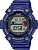 Casio WS-1300H-2A